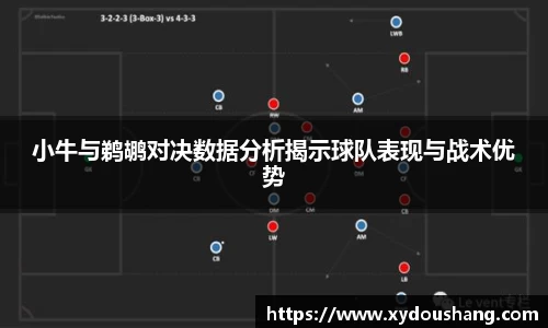小牛与鹈鹕对决数据分析揭示球队表现与战术优势